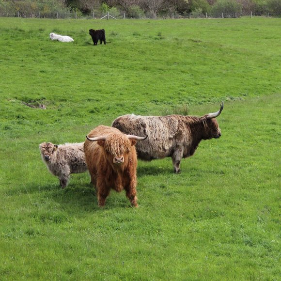 Meet your Posher, Kara - Picture 16 of 16